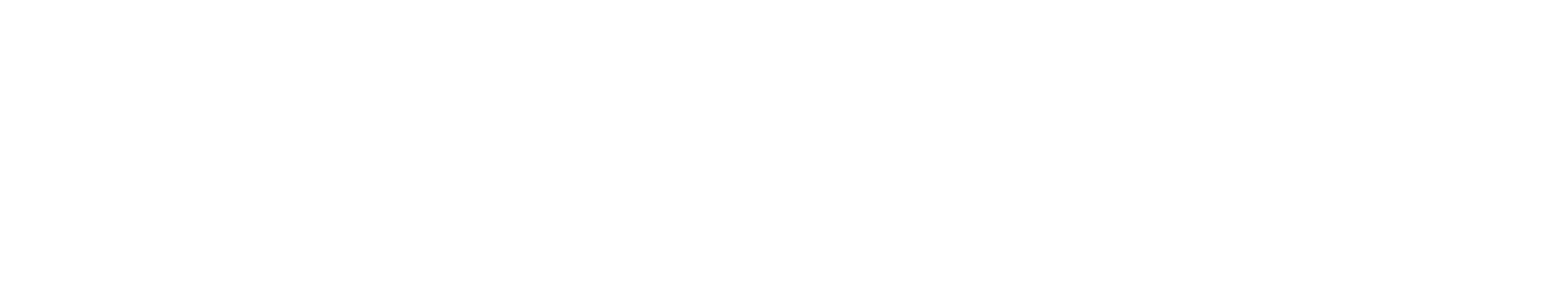 NextCharge Logo